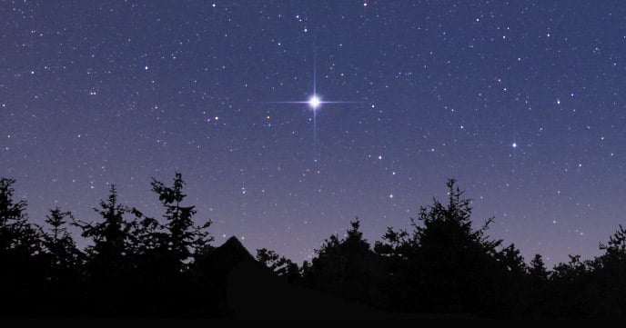 sirius stars in the night sky with many other stars